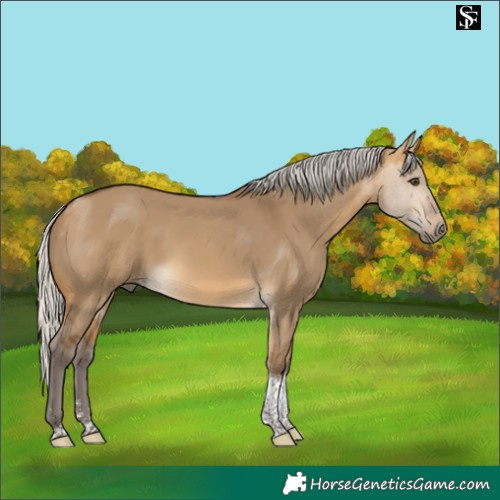 Horse Color:Silver Buckskin Dun Tobiano
