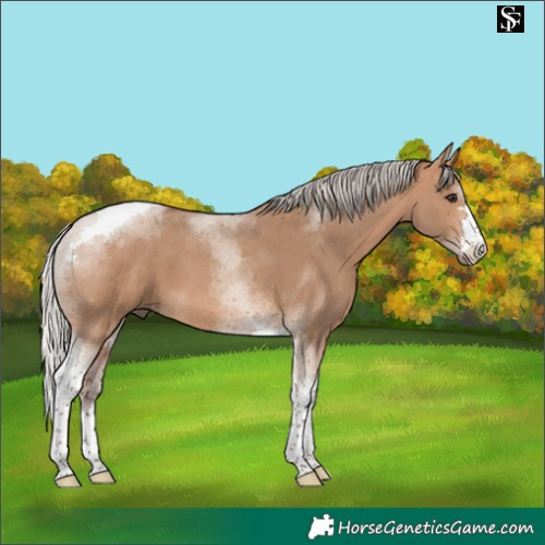 Horse Color:Silver Brown Dun Tobiano 