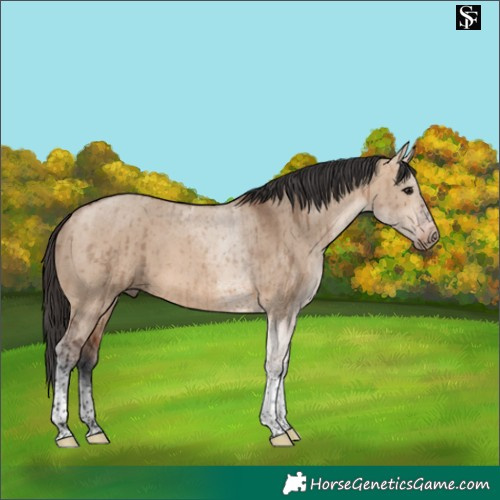 Horse Color:Bay Dun Tobiano Brindle 
