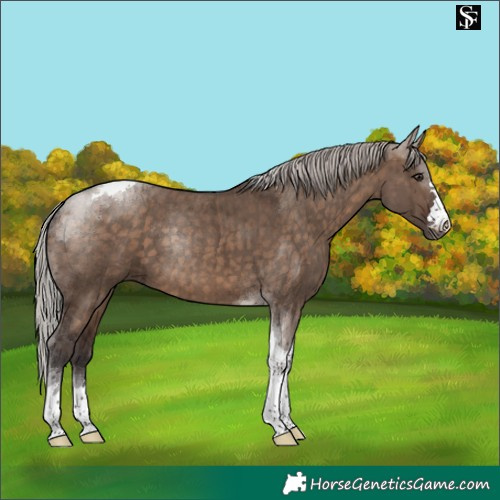 Horse Color:Silver Brown Dun Tobiano Brindle 