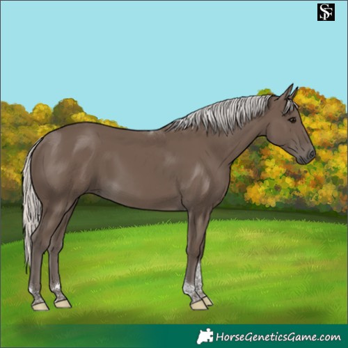 Horse Color:Silver Black Tobiano 