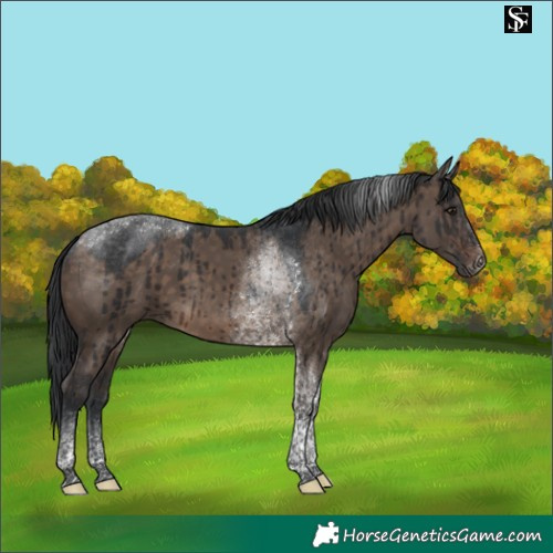 Horse Color:Brown Dun Tobiano Brindle 