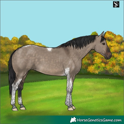 Horse Color:Brown Dun Tobiano 