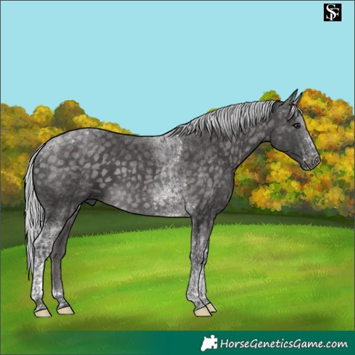 Horse Color:Platinum Silver Buckskin Tobiano 