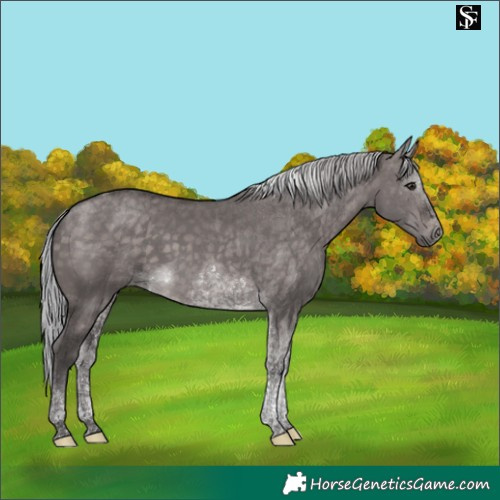 Horse Color:Platinum Silver Brown Dun Tobiano 