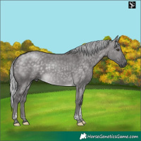 Horse Color:Platinum Silver Buckskin Dun Tobiano
