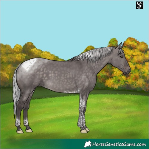 Horse Color:Platinum Silver Brown Dun Tobiano 