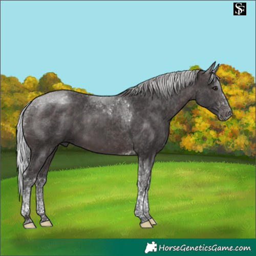 Horse Color:Platinum Silver Brown Tobiano