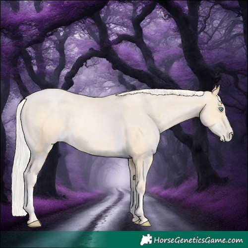 Horse Color:Silver Sable Cream Champagne Pearl