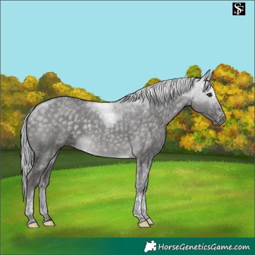 Horse Color:Platinum Silver Buckskin Dun Tobiano