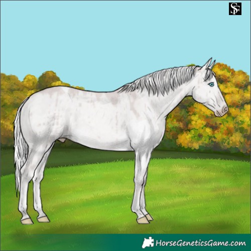Horse Color:Platinum Silver Perlino Dun Tobiano Brindle