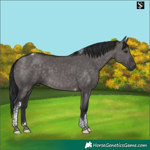 Horse Color:Platinum Brown Dun Tobiano 