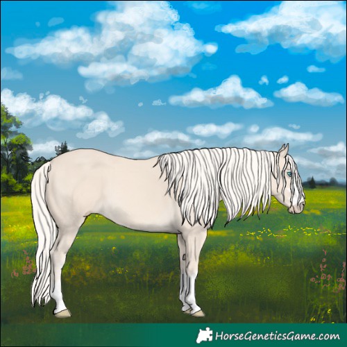 Horse Color:Cremello