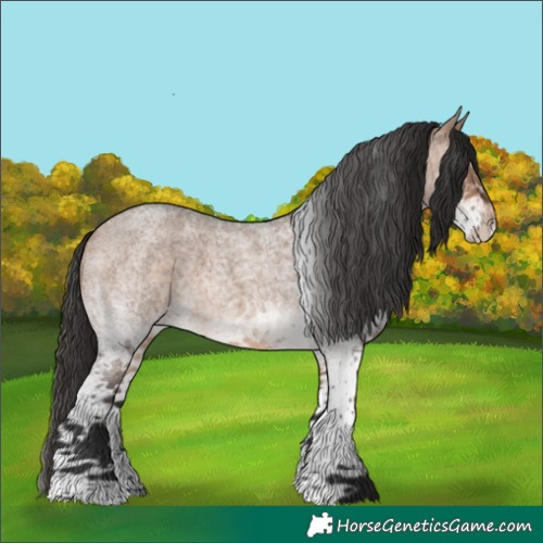 Horse Color:White Spotted Bay Roan Dun 
