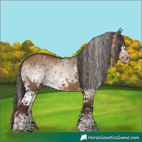 Horse Color:White Spotted Liver Red Dun 