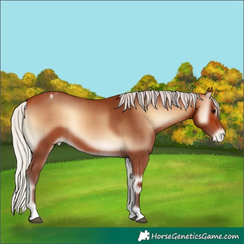 Horse Color:Silver Bay Onyx Varnish 
