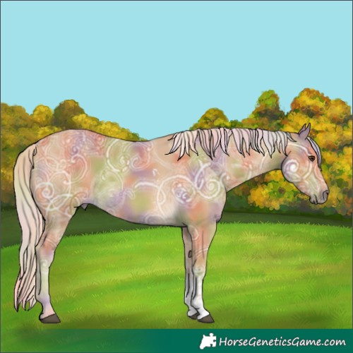 Horse Color:Nacre Palomino Ice Sabino Rabicano 
