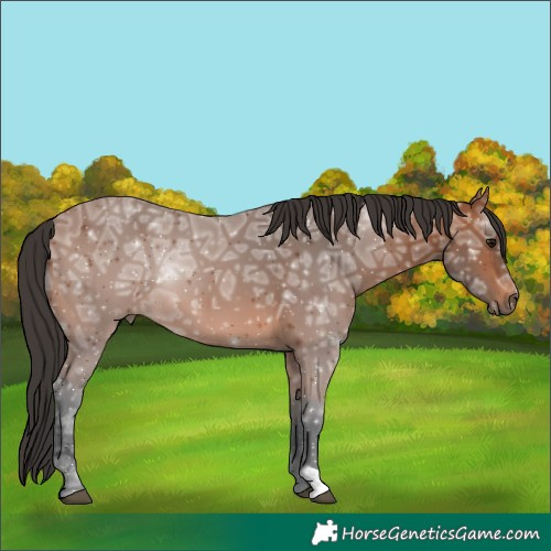 Horse Color:Bay Ice 