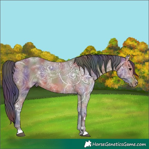 Horse Color:Nacre Bay Ice Rabicano 