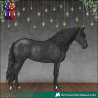 Horse Color:Black Rabicano 