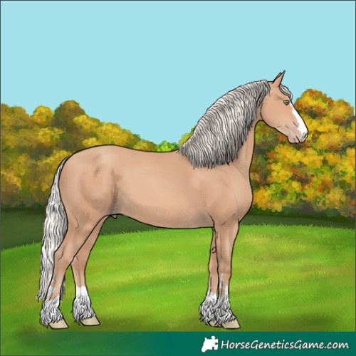 Horse Color:Silver Amber Champagne 
