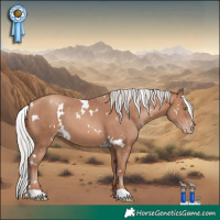 Horse Color:White Spotted Silver Sable Champagne