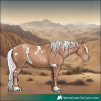 Horse Color:White Spotted Silver Sable Champagne 