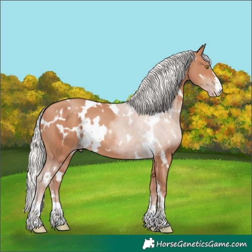Horse Color:White Spotted Silver Sable Champagne 