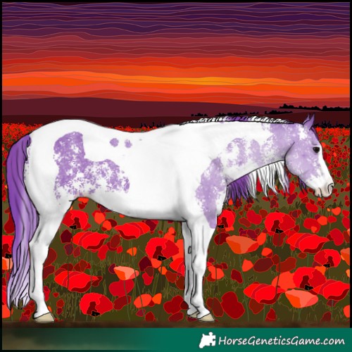 Horse Color:Watercolor Black Sabino Tobiano Varnish 