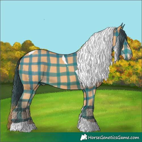 Horse Color:Plaid Bay Tobiano