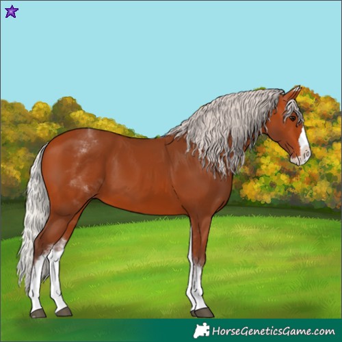 Horse Color:White Spotted Silver Bay Splash 