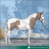 Horse Color:Silver Grullo Splash Tobiano