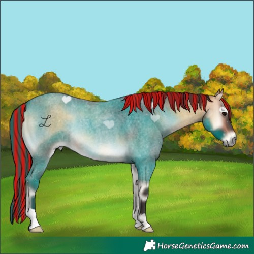 Horse Color:Painted Buckskin Roan Onyx 