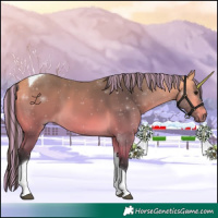Horse Color:Painted Buckskin Tobiano