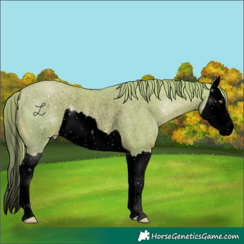 Horse Color:Void Watercolor Chestnut Pearl Splash Rabicano