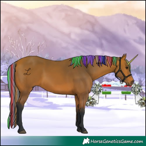 Horse Color:Painted Bay