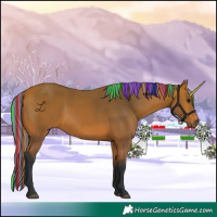 Horse Color:Painted Bay 
