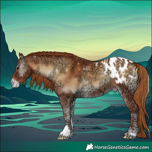 Horse Color:Red Onyx Ice Appaloosa 