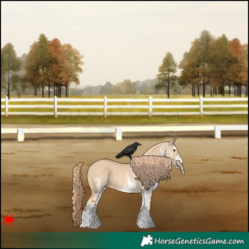 Horse Color:White Spotted Red Dun 