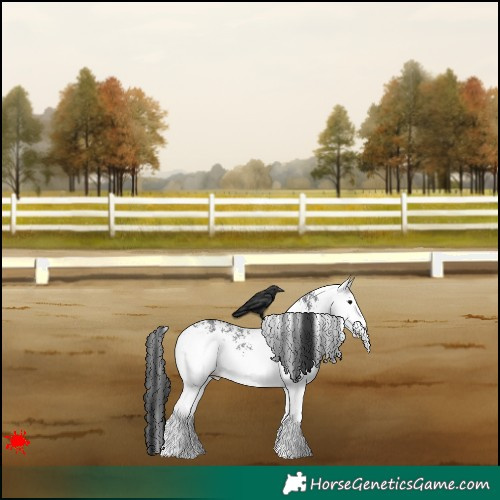Horse Color:White Spotted Black