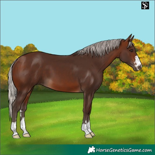 Horse Color:Silver Brown 