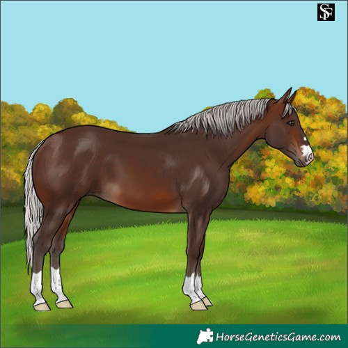 Horse Color:Silver Brown 