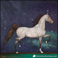 Horse Color:Brown Ice Roan Dun Varnish 