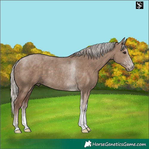 Horse Color:Silver Grullo Tobiano Rabicano 