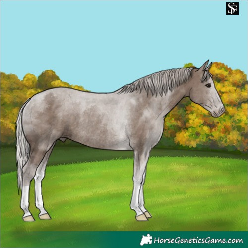 Horse Color:Silver Grullo Tobiano Rabicano 