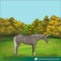 Horse Color:Silver Black 