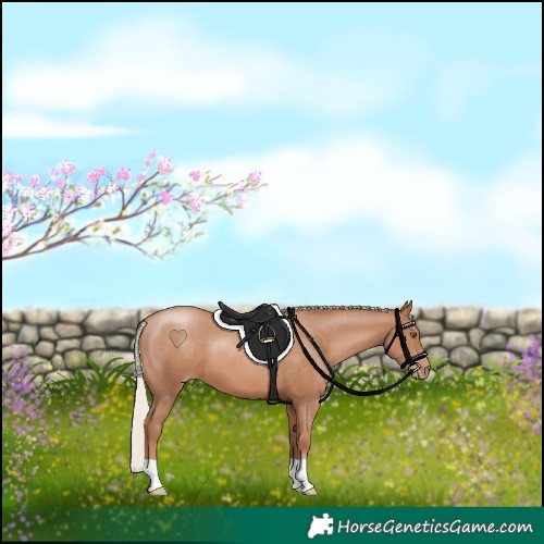 Horse Color:Silver Black Pearl 