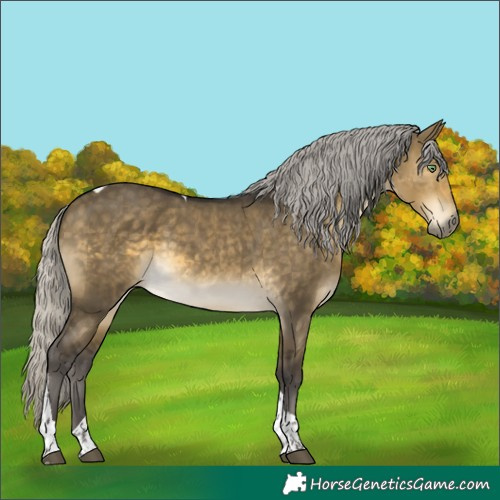 Horse Color:Silver Buckskin Dun Tobiano 