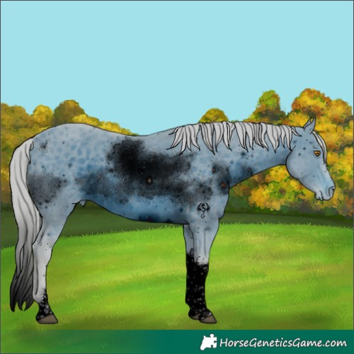 Horse Color:ERROR: UNKNOWN ANOMALY