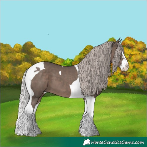 Horse Color:Silver Black Splash Tobiano 